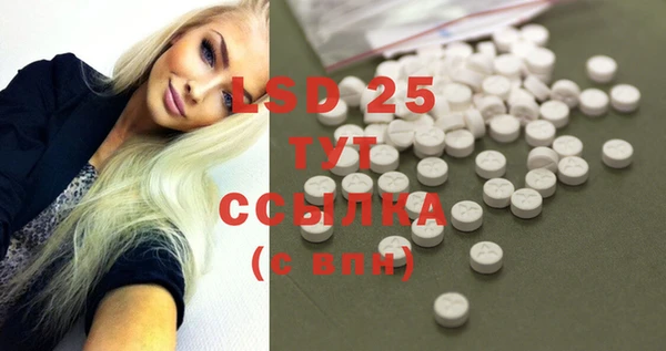 индика Алексин