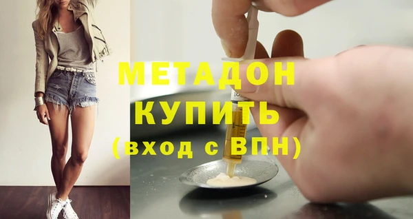 индика Алексин