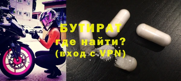 индика Алексин