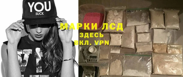 индика Алексин