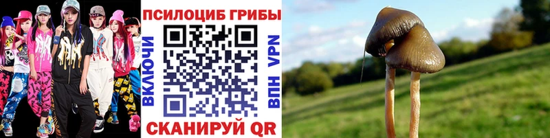 Галлюциногенные грибы Cubensis  нарко площадка как зайти  Константиновск  где продают наркотики 